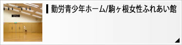 勤労青少年ホーム/女性ふれあい館