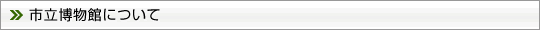 市立博物館について